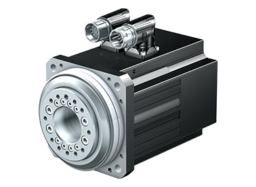 Synchronous servo motor with flange hollow shaft